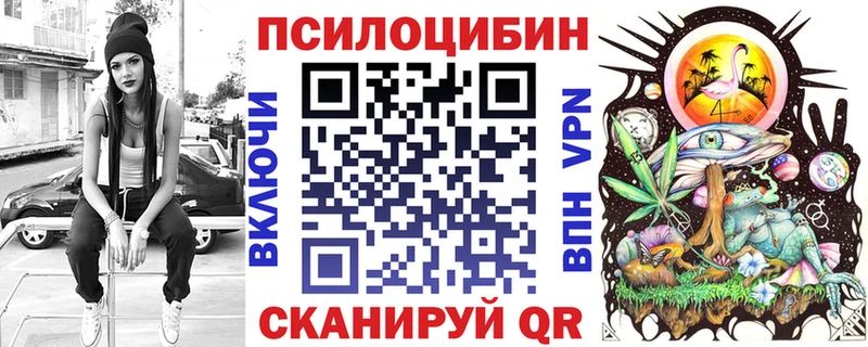 Псилоцибиновые грибы Psilocybe  Тавда 
