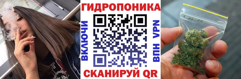 KRAKEN ССЫЛКА  Тавда  Марихуана Ganja  цены  